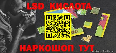PSILOCYBIN Будённовск