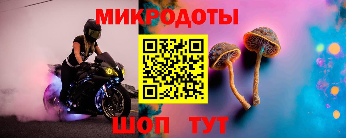 Галлюциногенные грибы MAGIC MUSHROOMS Костомукша