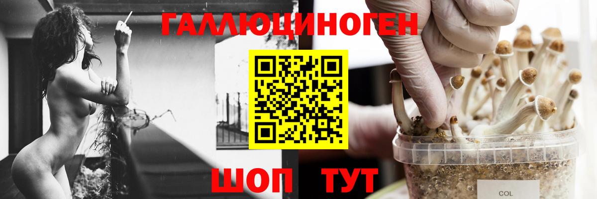 Псилоцибиновые грибы Psilocybe  Псилоцибиновые грибы Magic Shrooms  Вход с VPN  где купить   Костомукша 